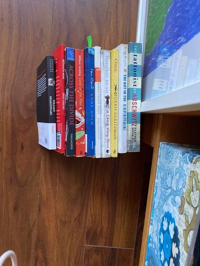 Secondary school novels.