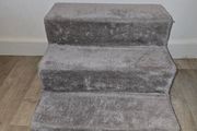 Stepway Pet Stairs