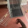 Crate Large Image 3