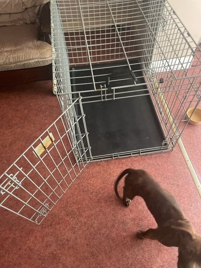 Crate Large