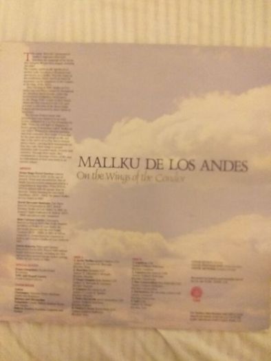 Mallku De Los Andes.