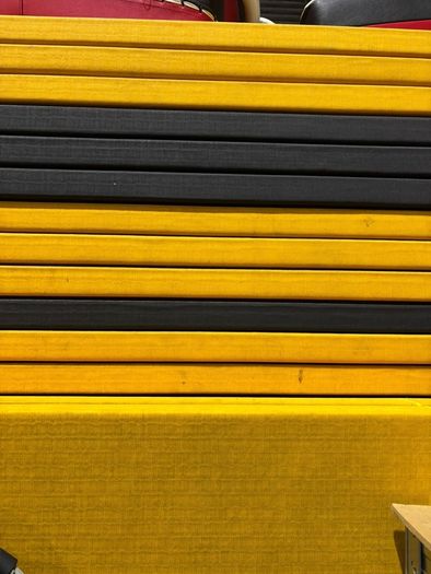 Fuji MMA BJJ mats