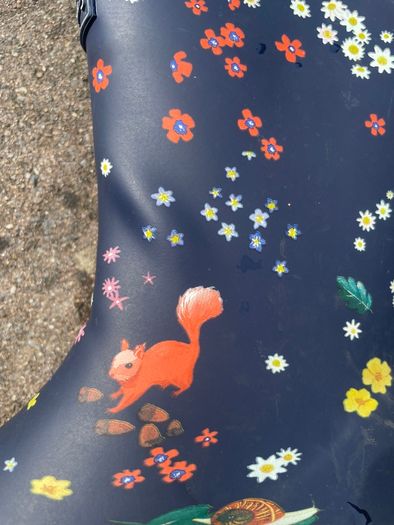 Wellies from Joules, uk 13
