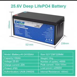 LiFePO4 Battery  100AH 1 24V BMS Rechargeable Lithium Bateria Pack for Camping Car Solar