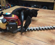 maruyama hedge trimmer