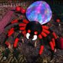 2.4m Halloween Inflatable Spider Image 2