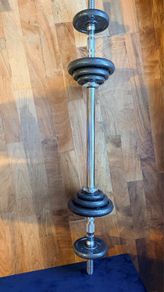 20-30 kg adjustable dumbles