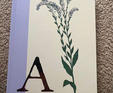New  A Note Book