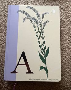 New  A Note Book