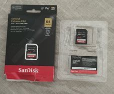 Sandisk