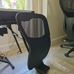 Mesh Backrest