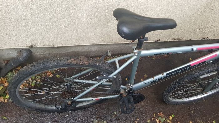 Mountain bike