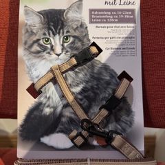 Cat harness and leash
