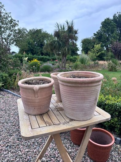 Set of 3 terracotta pots