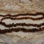 Vintage Genuine Baltic Amber Necklaces 40g and 79g Image 4