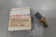 Yamaha Thermo Unit, Fzs 600 1000 R1