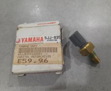 Yamaha Thermo Unit, Fzs 600 1000 R1