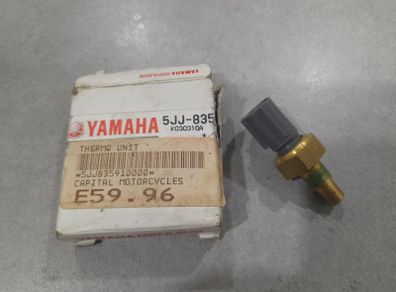 Yamaha Thermo Unit, Fzs 600 1000 R1