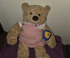 Vintage Build a Bear (Bear Factory) Teddy