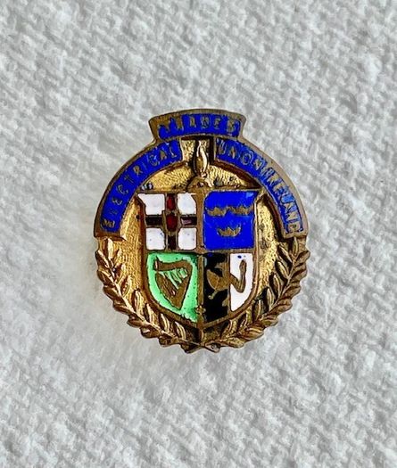 Vintage Irish Electrical Trades Union Lapel Pin