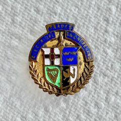 Vintage Irish Electrical Trades Union Lapel Pin