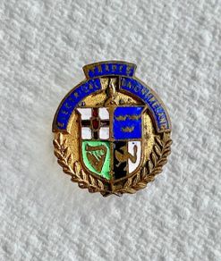Vintage Irish Electrical Trades Union Lapel Pin