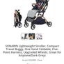 Lightweight travel Buggy Image 2