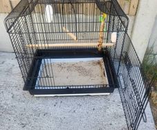 bird cage