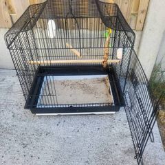 bird cage