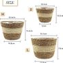 3Pcs Seagrass Planter Basket, 3 Size Woven Plant Pot Indoor Outdoor - Flower Pots Cover Storage Basket Plant Containers for Home Decor (Beige) Image 3