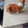 Vintage Beswick Rough  Collie  Dog   Porcelain Figurine Lochinvar Of Lady Park. Made in England. Image 5