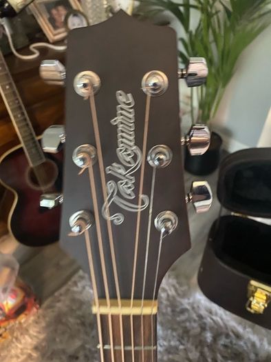 Takamine G Series