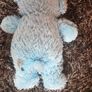 teddy Image 6