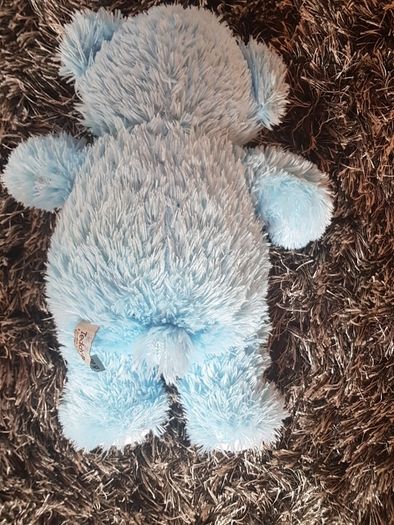 teddy