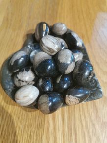 Petrified wood mini eggs
