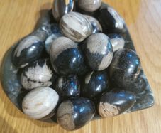 Petrified wood mini eggs