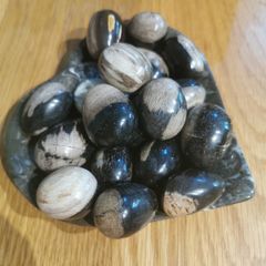 Petrified wood mini eggs