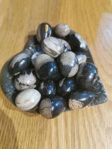 Petrified wood mini eggs