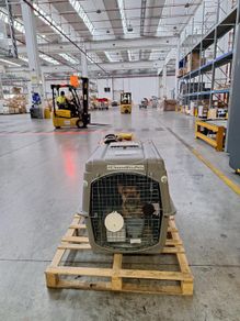 Airline-Approved Pet Travel Crate (IATA Compliant)
