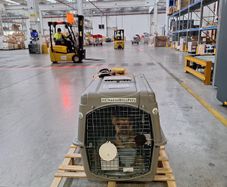 Airline-Approved Pet Travel Crate (IATA Compliant)