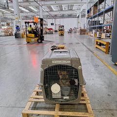 Airline-Approved Pet Travel Crate (IATA Compliant)