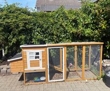 Rabbit hutch & run