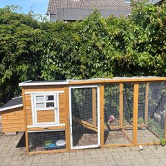 Rabbit hutch & run