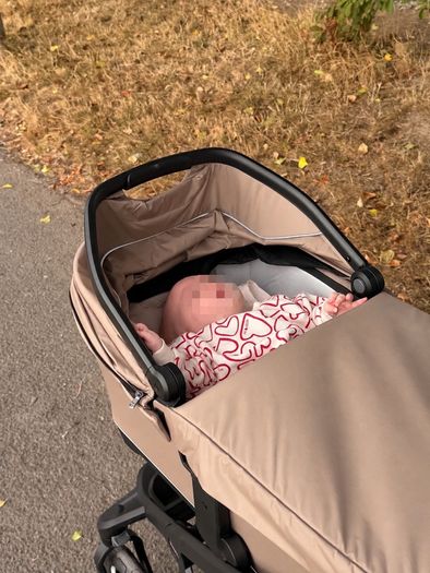 Thule Bassinet ONLY compatible with Urban Glide 3, 4-Wheel, Spring 2 & Sleek 2