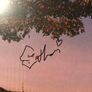 slowthai - TYRON (Autographed/Misprinted) Image 2