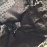 DKNY French Navy Soft Quilted Genuine Leather Bag Image 9