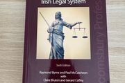 Byrne and McCutcheon on the Irish Legal System 6th Edition