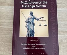 Byrne and McCutcheon on the Irish Legal System 6th Edition