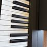 Yamaha P-145 with Stand Brand New Image 5