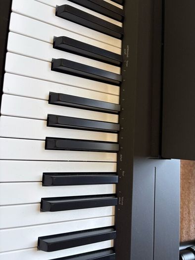 Yamaha P-145 with Stand Brand New